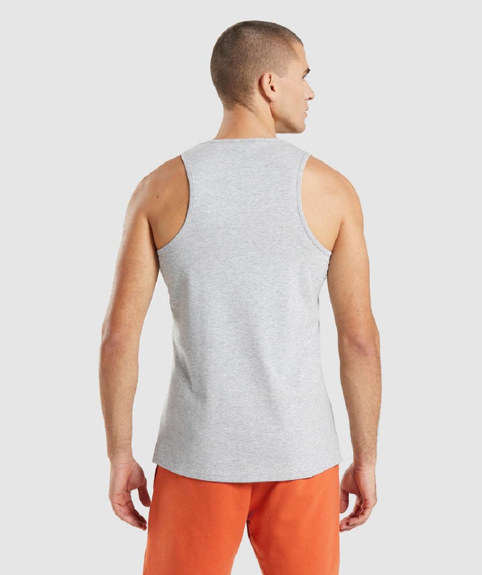 Camiseta Tirantes Gymshark Critical 2.0 Hombre Gris Claro | CO 3242KOR